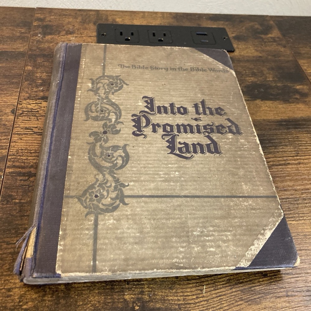 Into the Promised Land Israel Vtg Bible Story‎ 1927 Illustrations Schwarz Hebrew